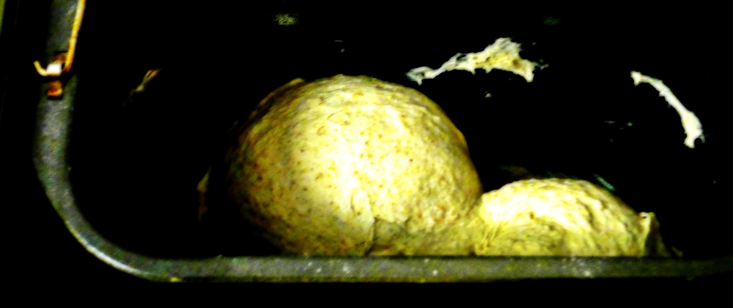 vyhnetene testo